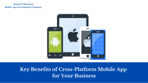 Key Benefits of Cross-Platform Mobile App for Your Business
